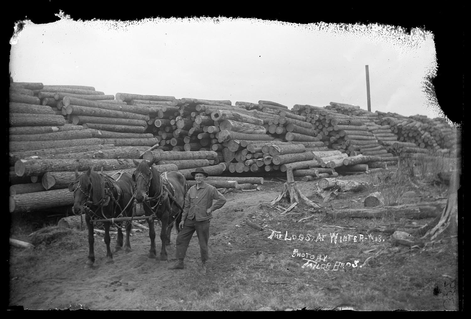 Winter Logging Crew post stand off - Taylor Bros Photo